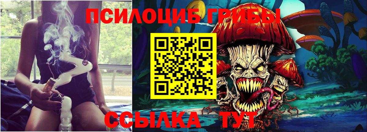 Белореченск  Псилоцибиновые грибы Psilocybine cubensis  Вход с VPN 